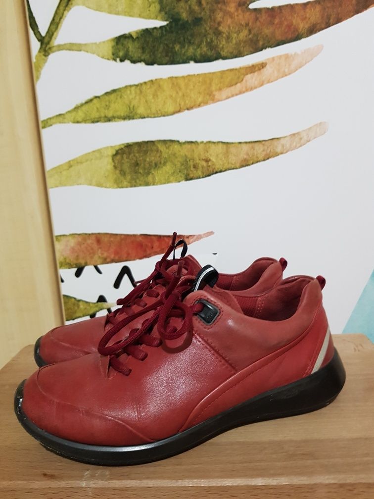 Ecco roz.35 Snickersy