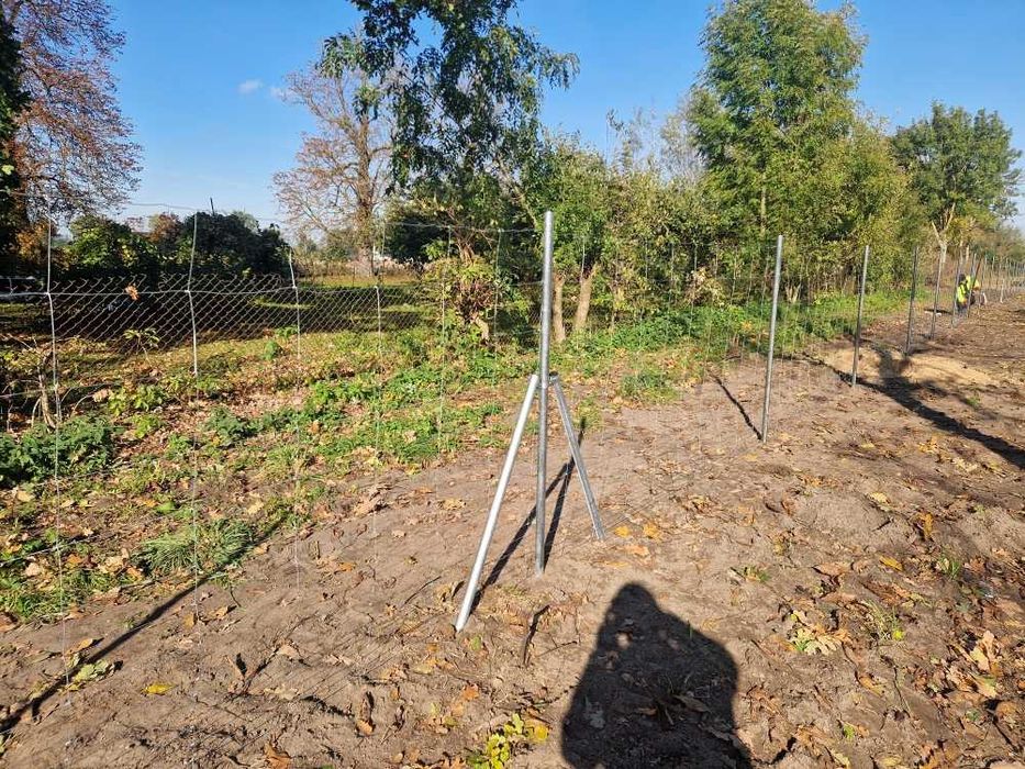 Słupki ogrodzeniowe metalowe OCYNK fi 40mm kapturek gratis 200cm