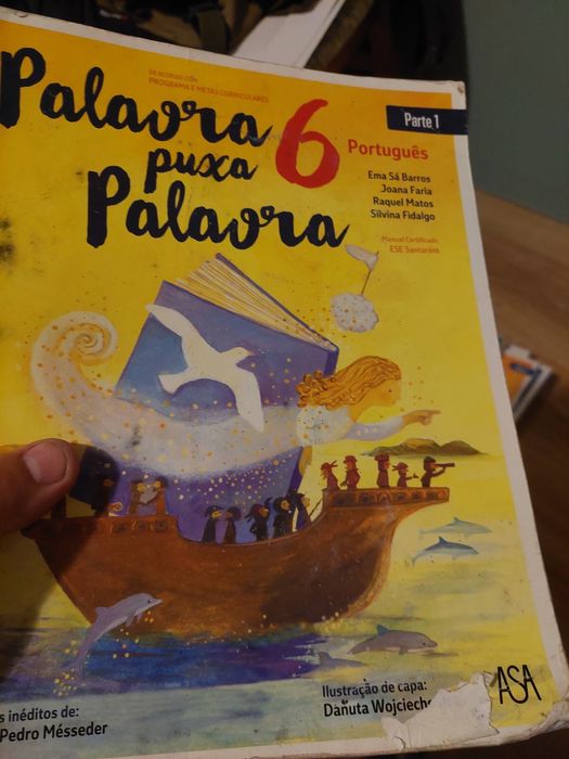 8 livros do 6 ano