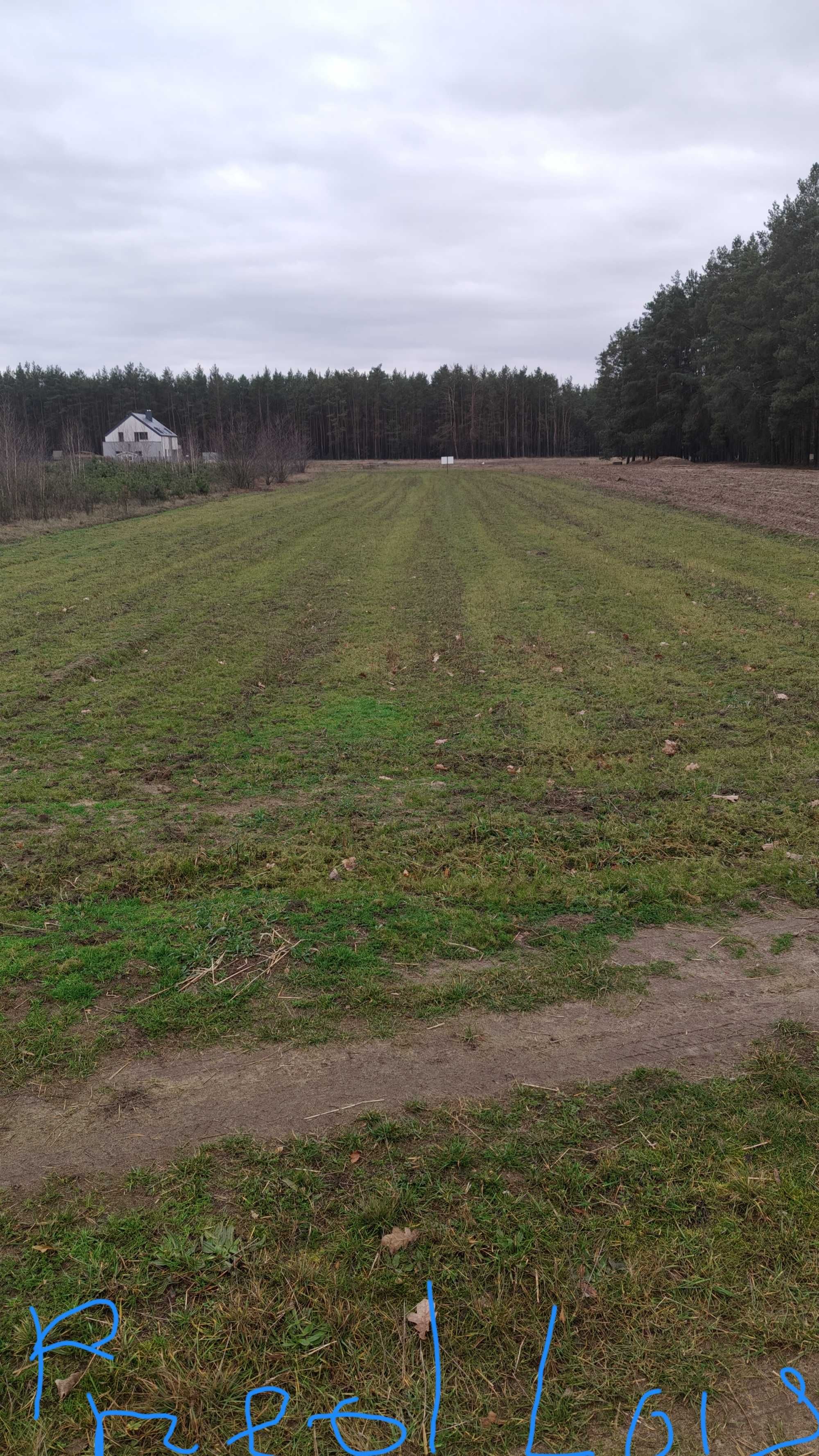 Działki budowlane w Świniotopi