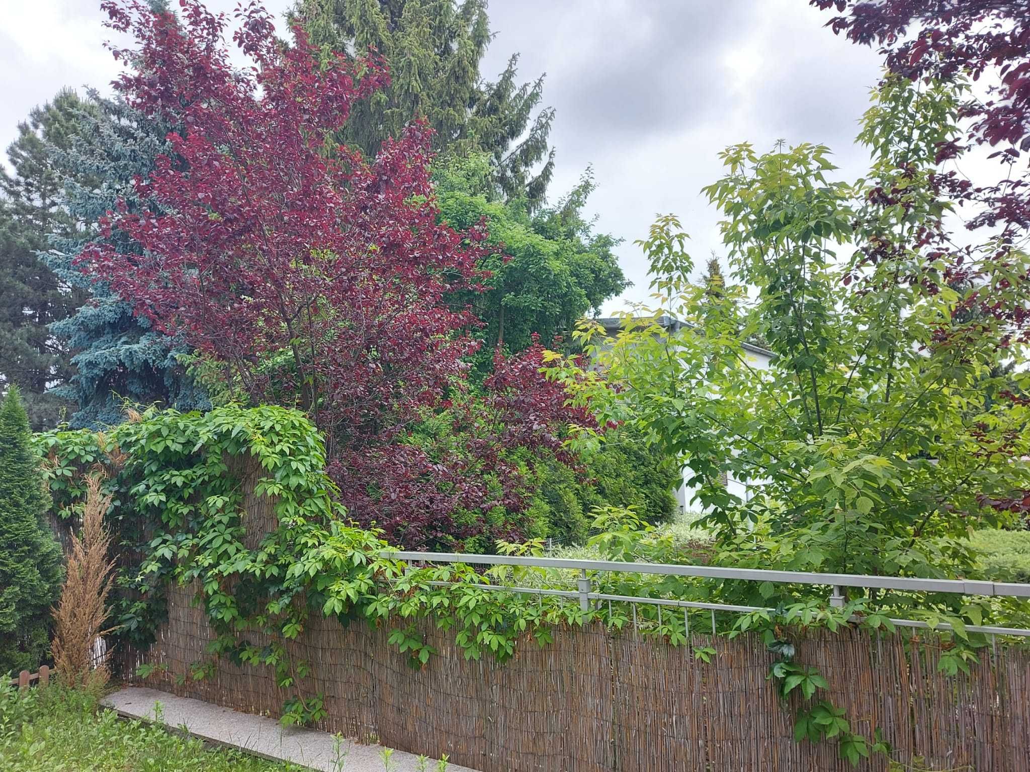 2 pokojowe 40 m2+taras z ogródkiem we Wrocławiu(Klecina)