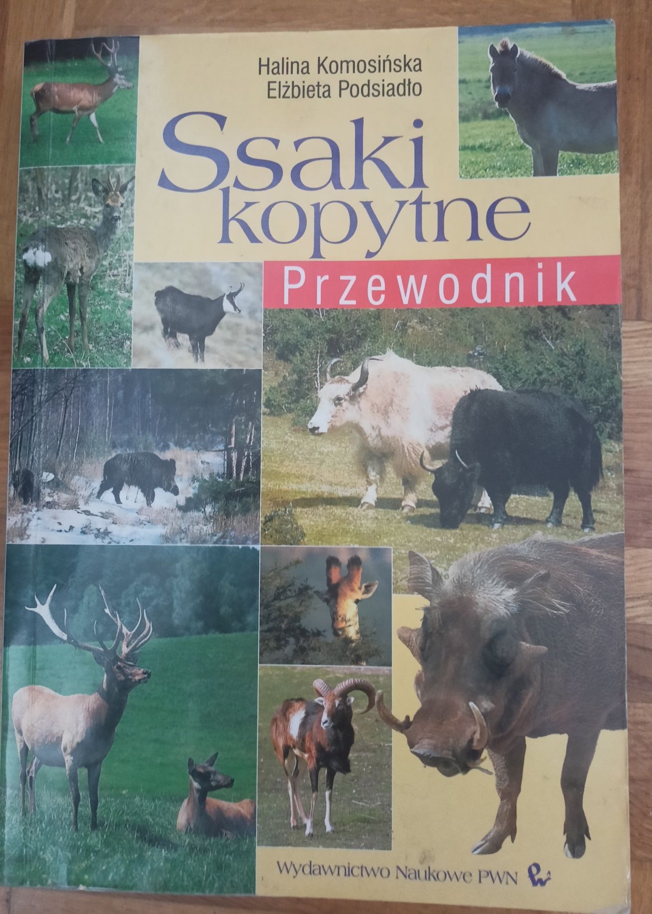 Ssaki kopytne - przewodnik. Komosińska, Podsiadło