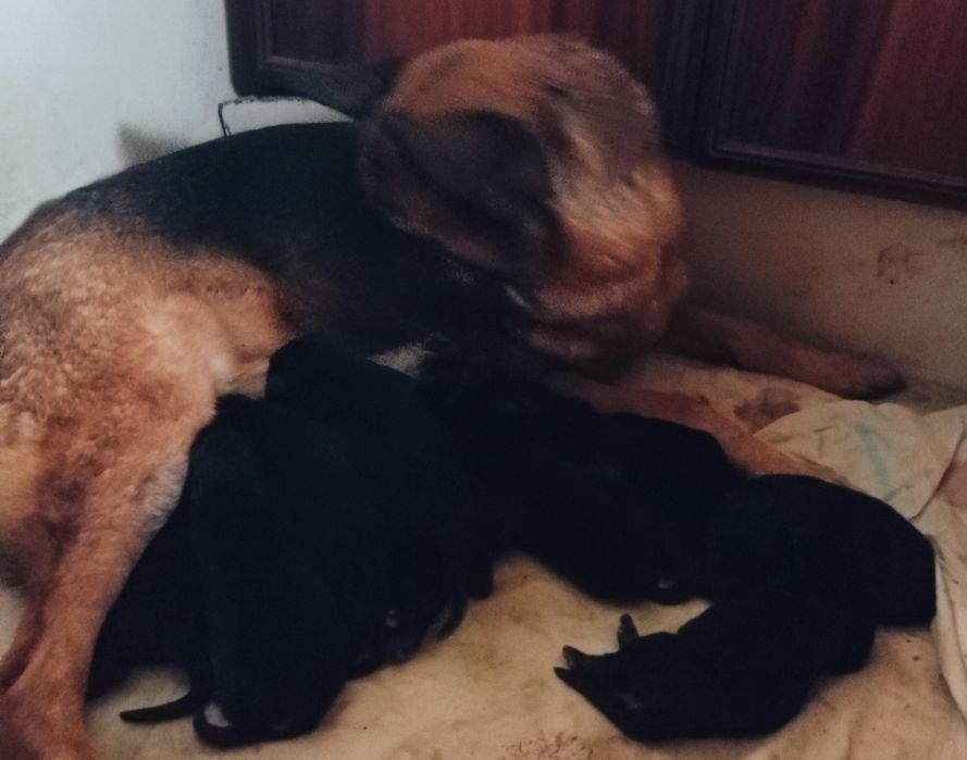 Открыта бронь .Есть мальчики и девочки.