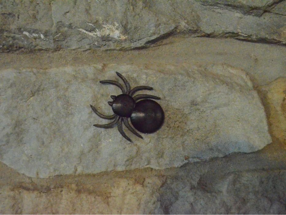 Aranha de Brincadeira (Prank Spider)