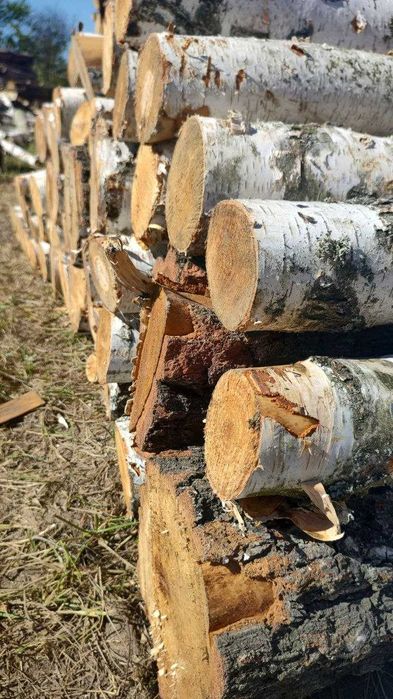 Дрова з берези з безкоштовною доставкою по Одесі та області!