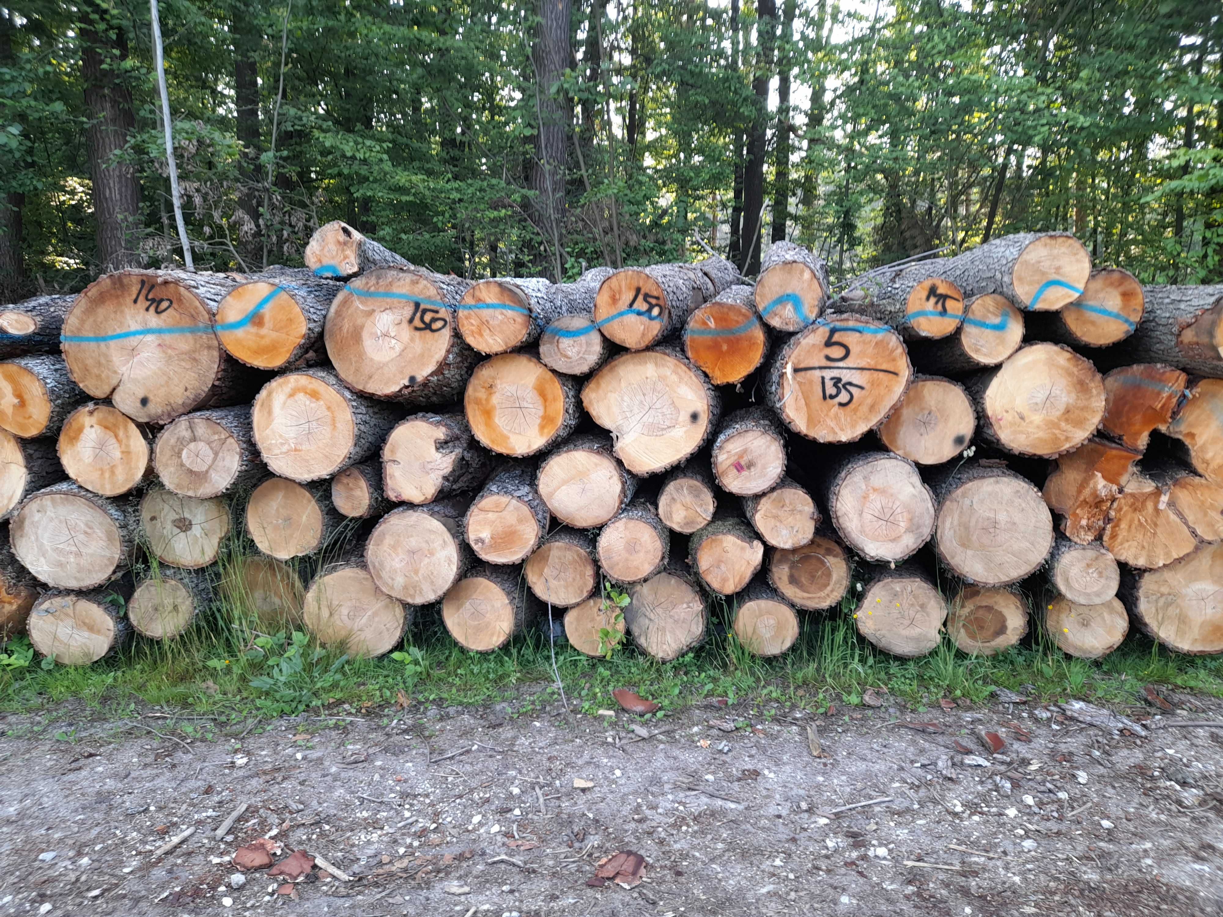 Drewno opałowe/kominkowe sosna brzoza dąb