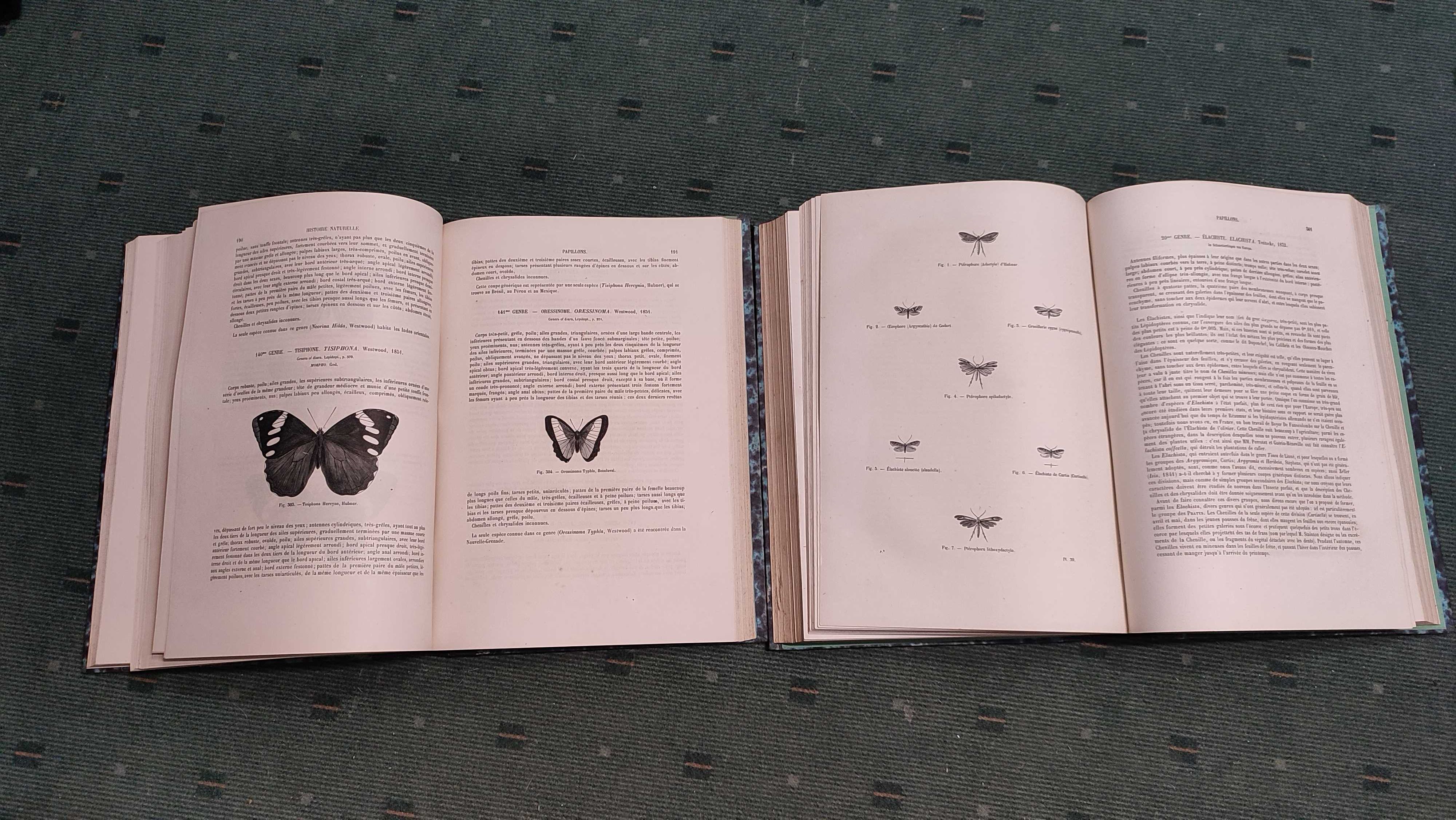 Encyclopédie D'Histoire Naturelle Traité Complet -Papillons - 2 Vol