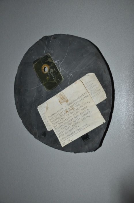Płyta geodowa sferosyderyt z korą pirytu i goniatytami 20 cm