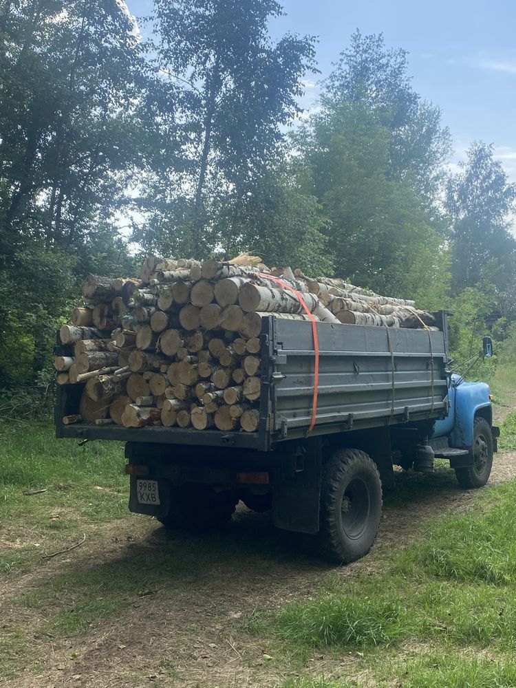 Дрова різних порід