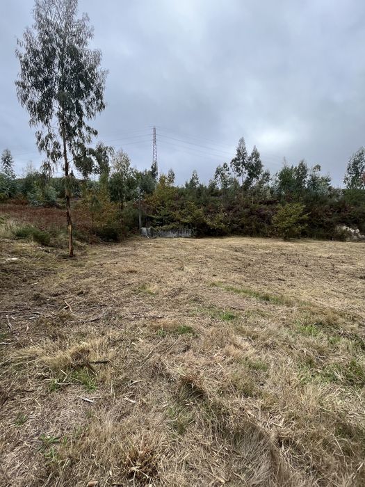 Vendo terreno agricola com 7995 m2