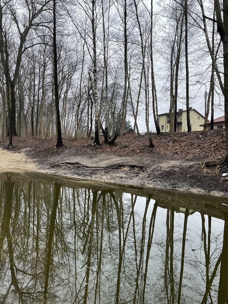 kopanie stawu, odmulanie, pogłębianie, roboty ziemne, koparka long