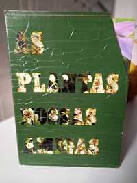 Coleção de livros "As plantas nossas amigas"