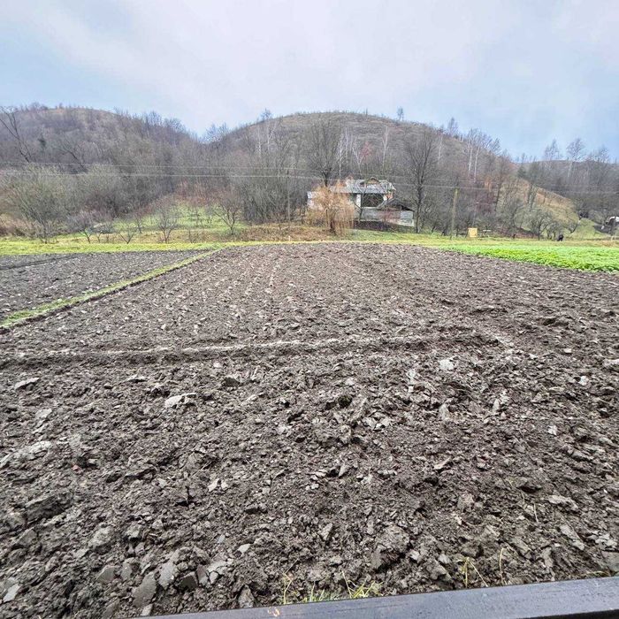 продаж будинку село Нижнів