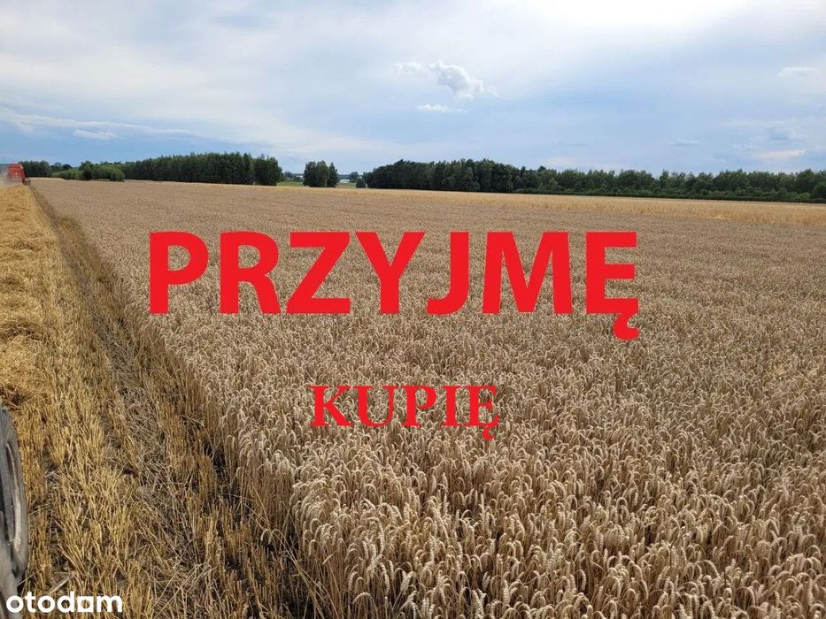 Kupię Lub Wydzierżawię Grunty Rolne 3–5 Ha