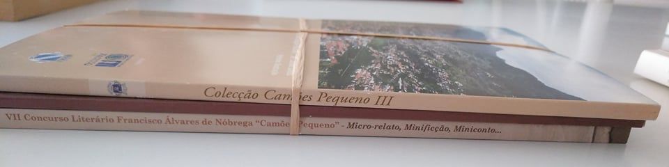 Livros com a História de regiões (Machico, Abrantes e Ponte de Sor)