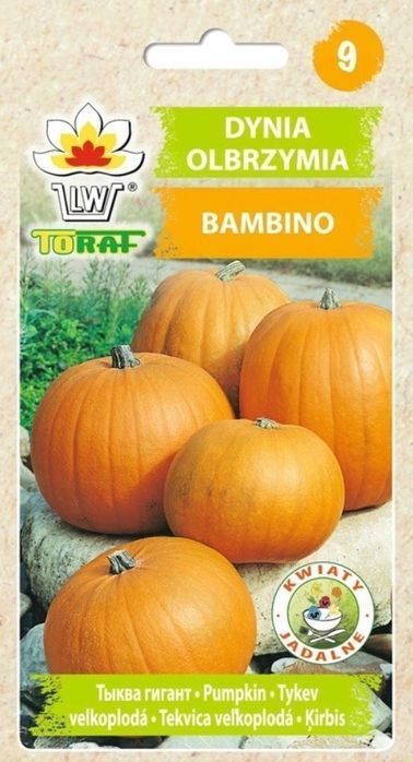 Dynia Olbrzymia BAMBINO (Cucurbita Maxima Duchesne) nasiona 20 sztuk