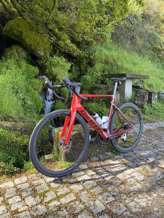 Giant Propel advanced 2 (2024) / M/L (55)