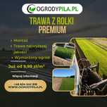 Trawa z rolki Premium