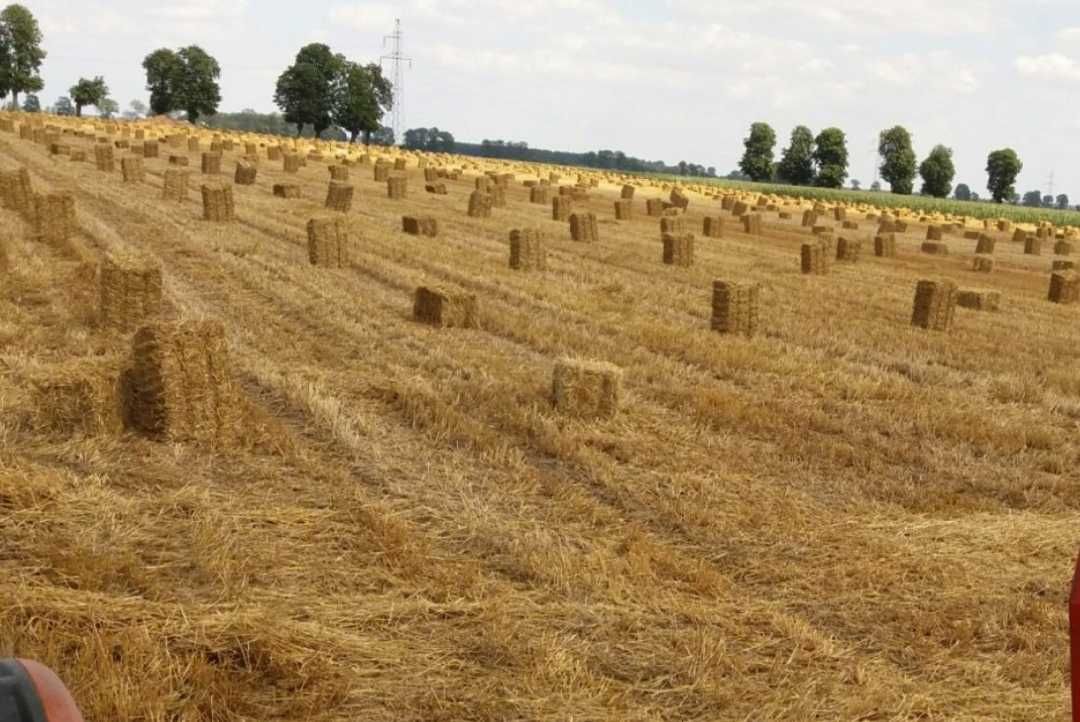 Słoma w małej kostce
