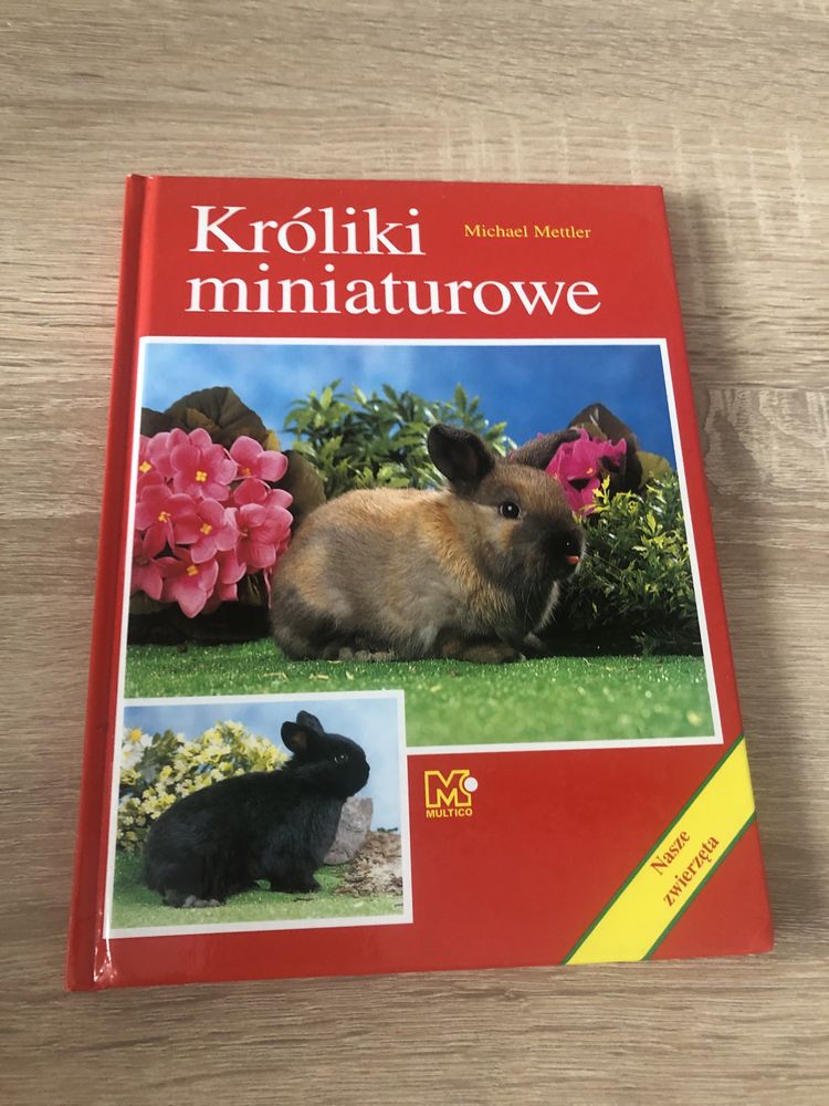 Króliki miniaturowe, Michael Mettler