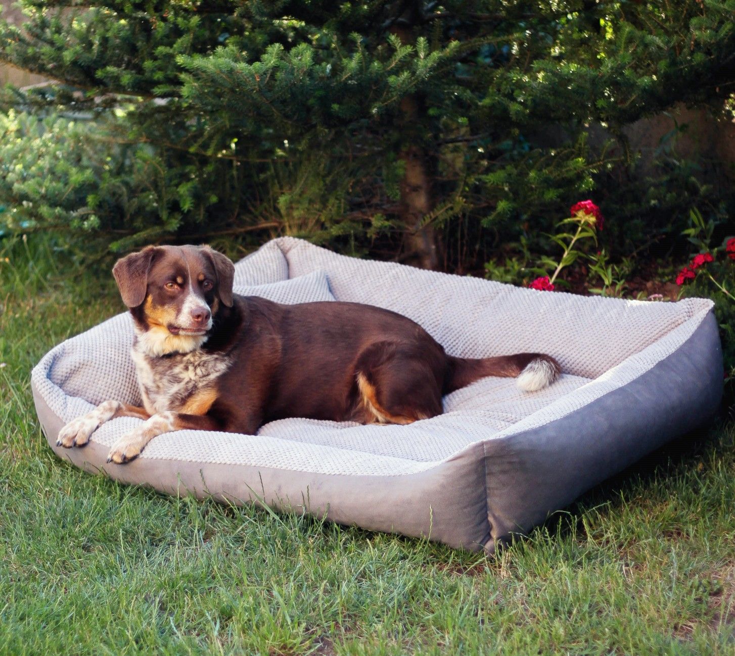 Przytulne legowisko dla psa TEO (100x80 cm, Szary)