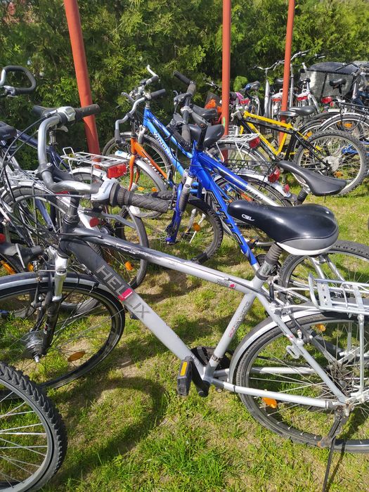 RowerCarver Cyco Kalkhoff City Star