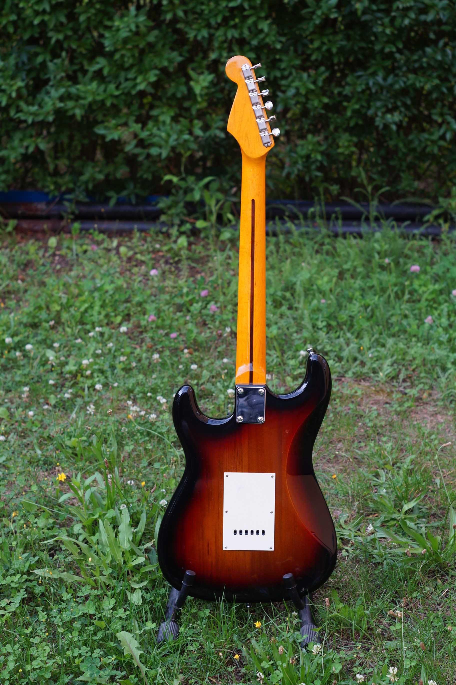 Richwood Stratocaster Gold Logo