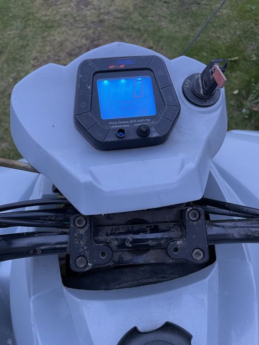 Quad ATV Dinli 300