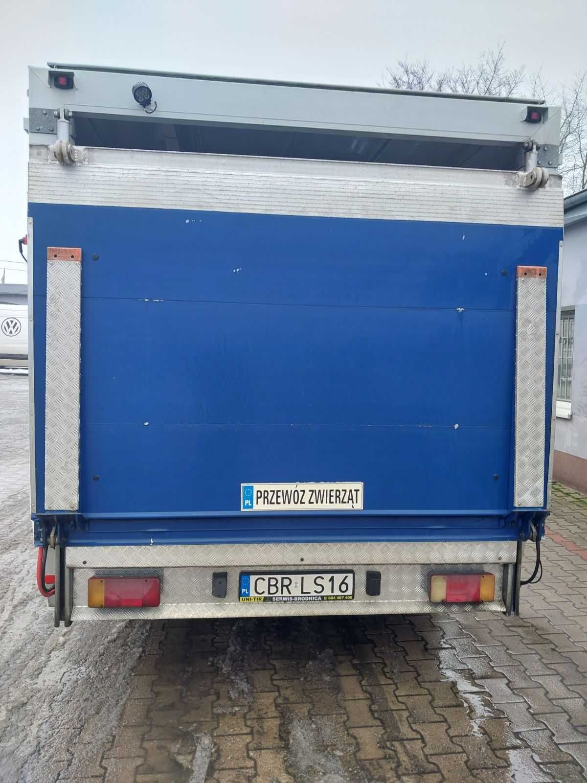 Iveco 35 do przewozu żywca, trzody, bydła