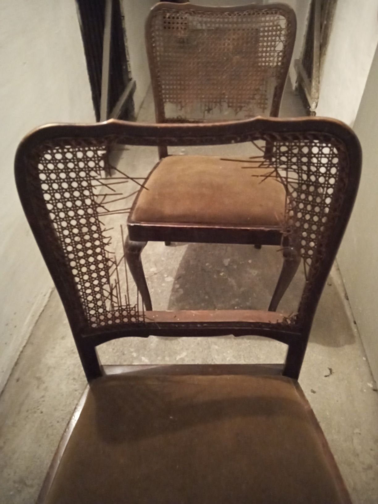 Stare dwa przedwojenne krzesła