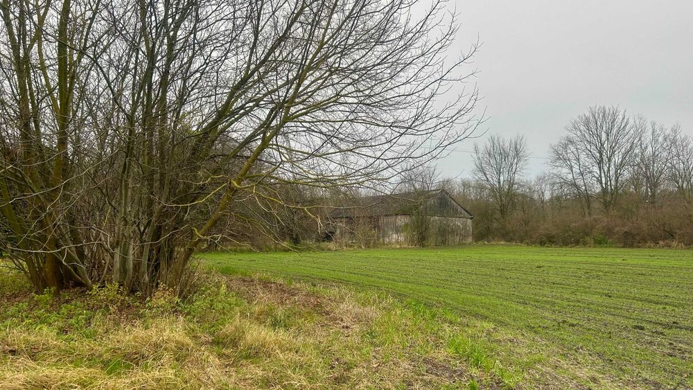 Działka 15 100 m², Wólka Okrąglik