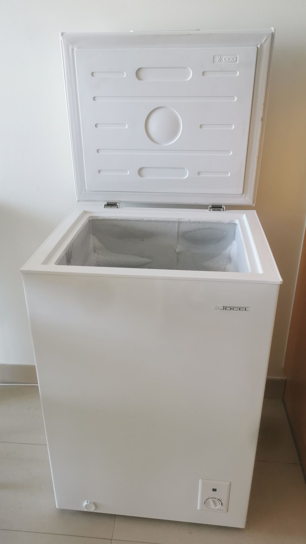 Arca congeladora Jocel