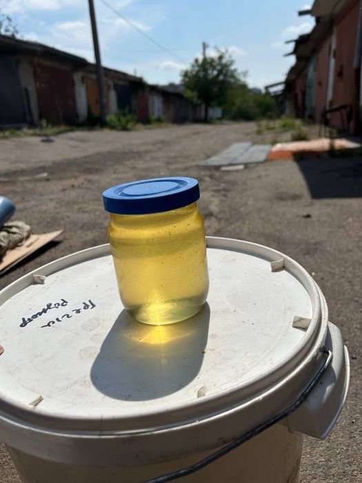 Мед акація 2025