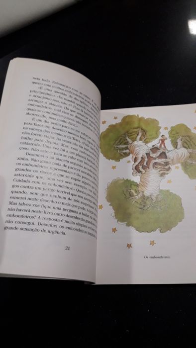 Livro O Principezinho