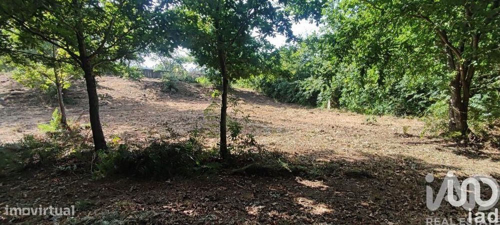 Terreno em Romarigães