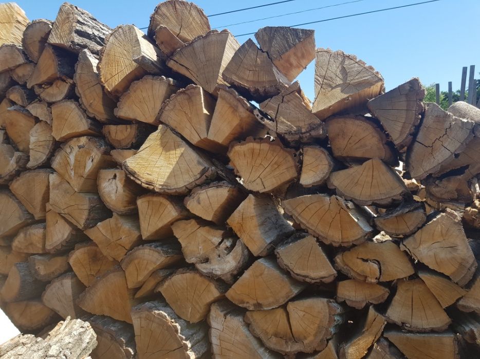 Drewno kominkowe mieszanka liściasta,  sosna, buk, grab, dąb