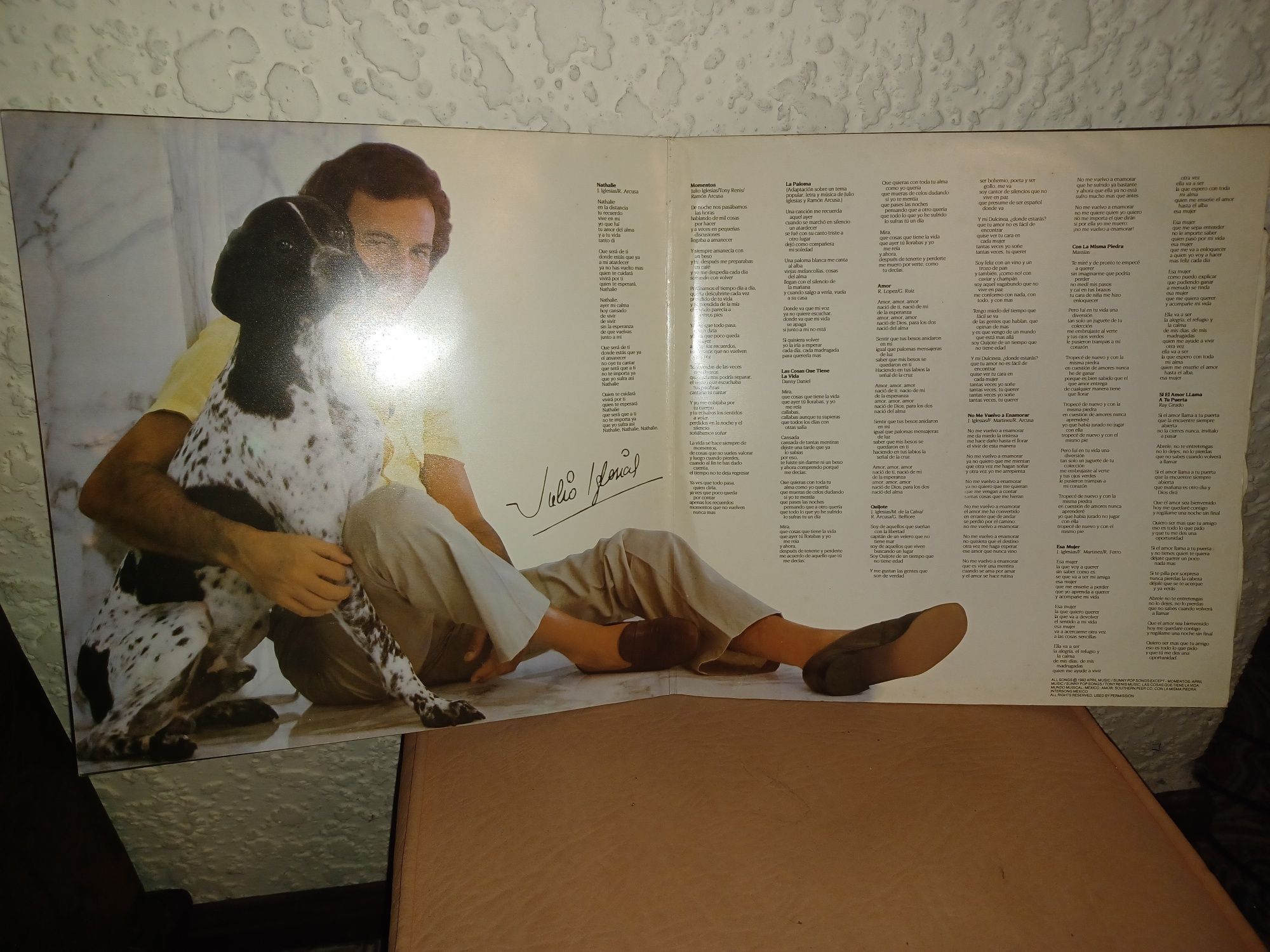 Vinil de Júlio Iglesias um bom clássico