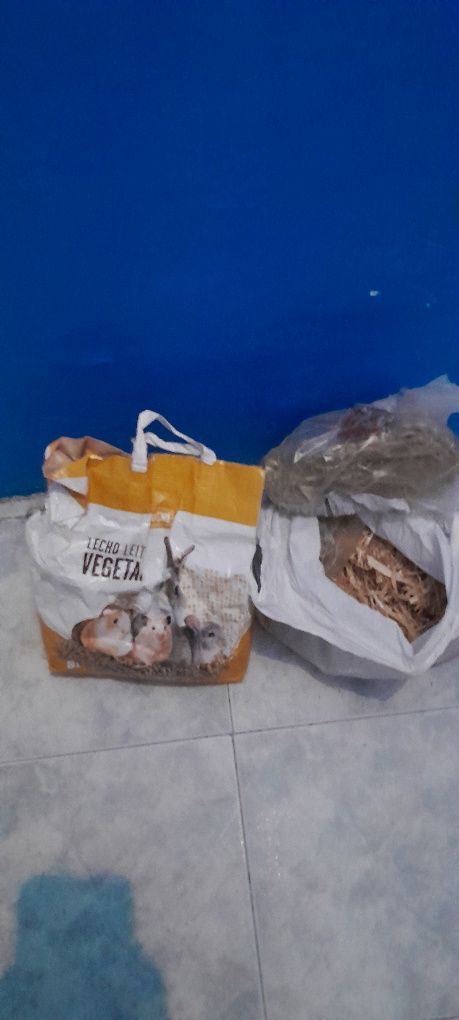 Kit completo de um coelho