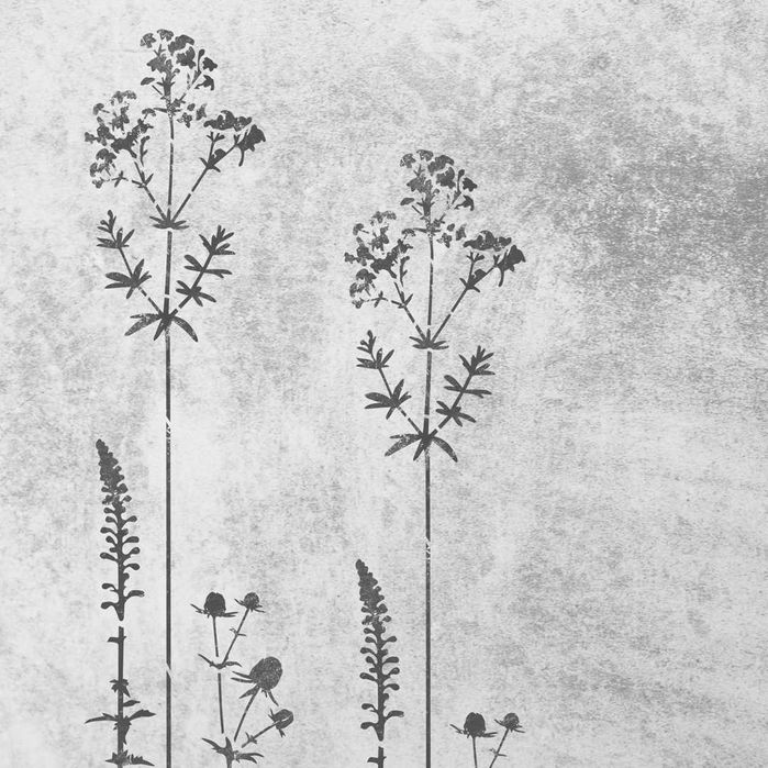 Трава трафарет DFA рослини для стін під фарбу та штукатурку P00126