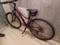 Rower Cube Access WLS