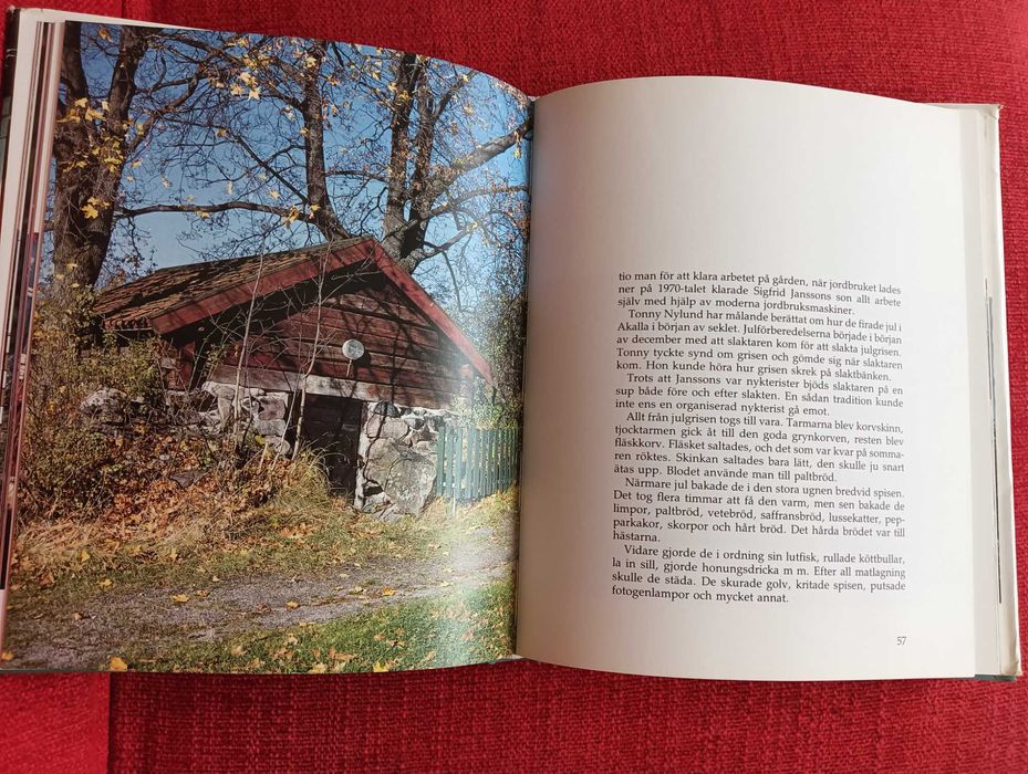 Akalla - Stochholm / Sweden