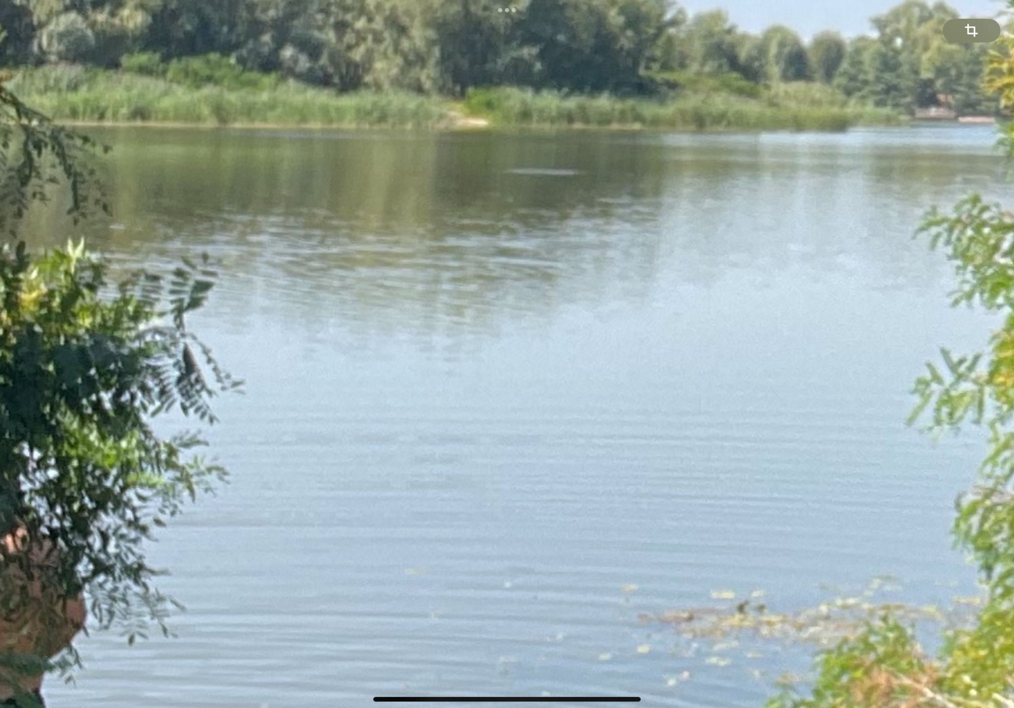 ‼️ЕКСКЛЮЗИВ‼️Ділянка з виходом на Дніпро,Осокорки, Приватний садівник