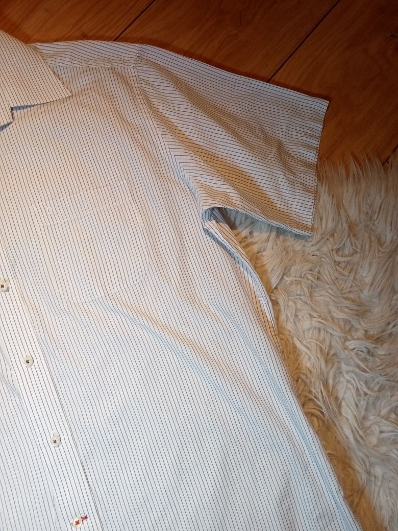 Koszula z krótkim rękawem w kratkę Pierre Cardin XL