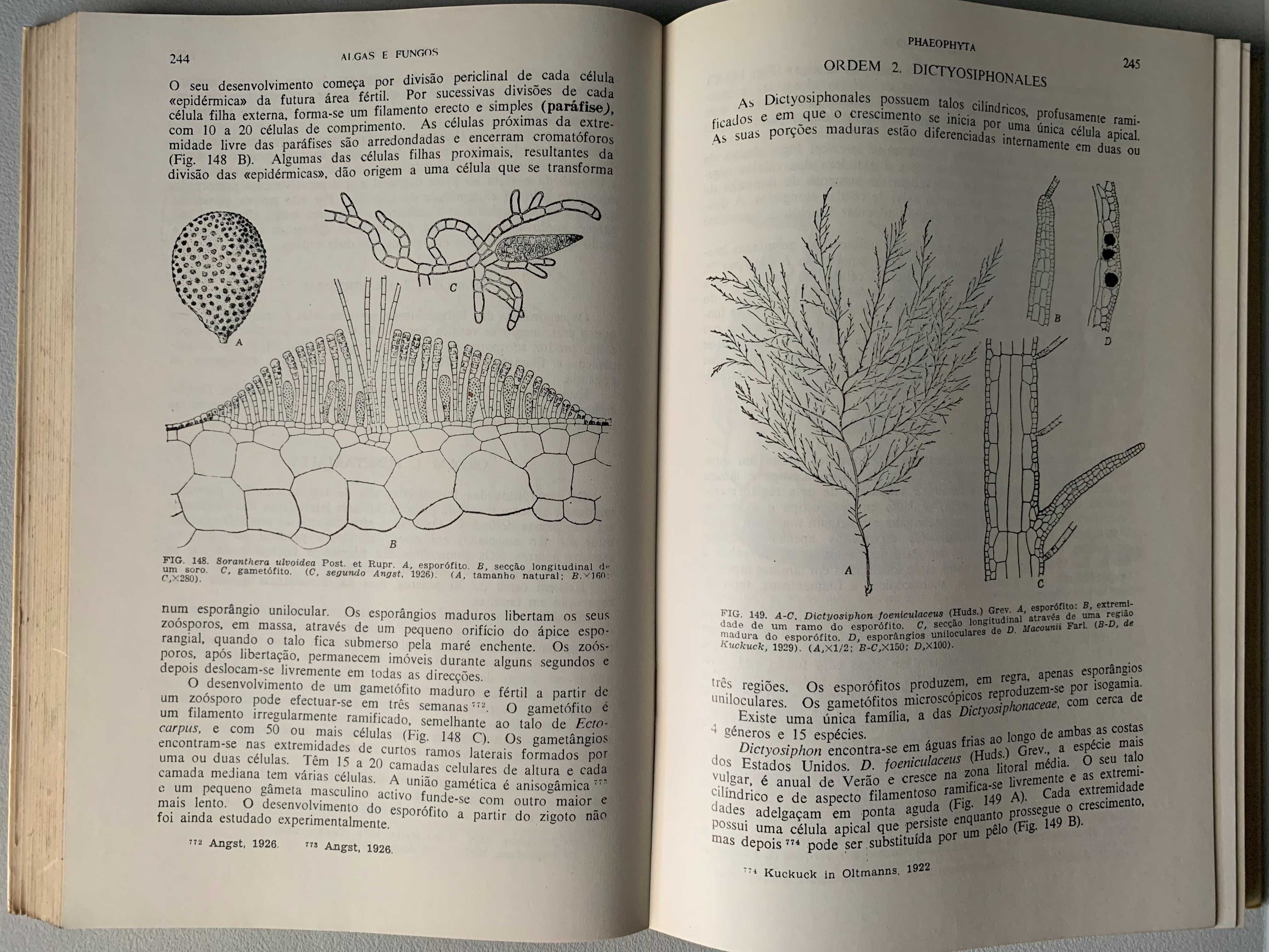 Botânica Criptogâmica, de Gilbert M. Smith