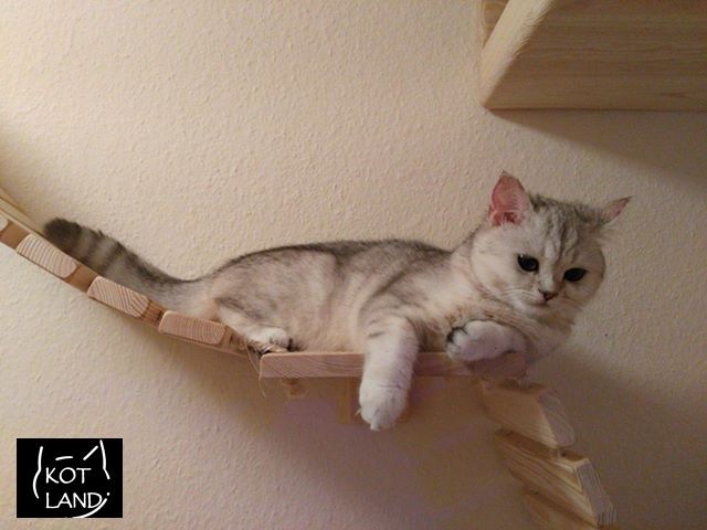 mostek dla kota na ścianę 90cm ,meble dla kota, legowisko,