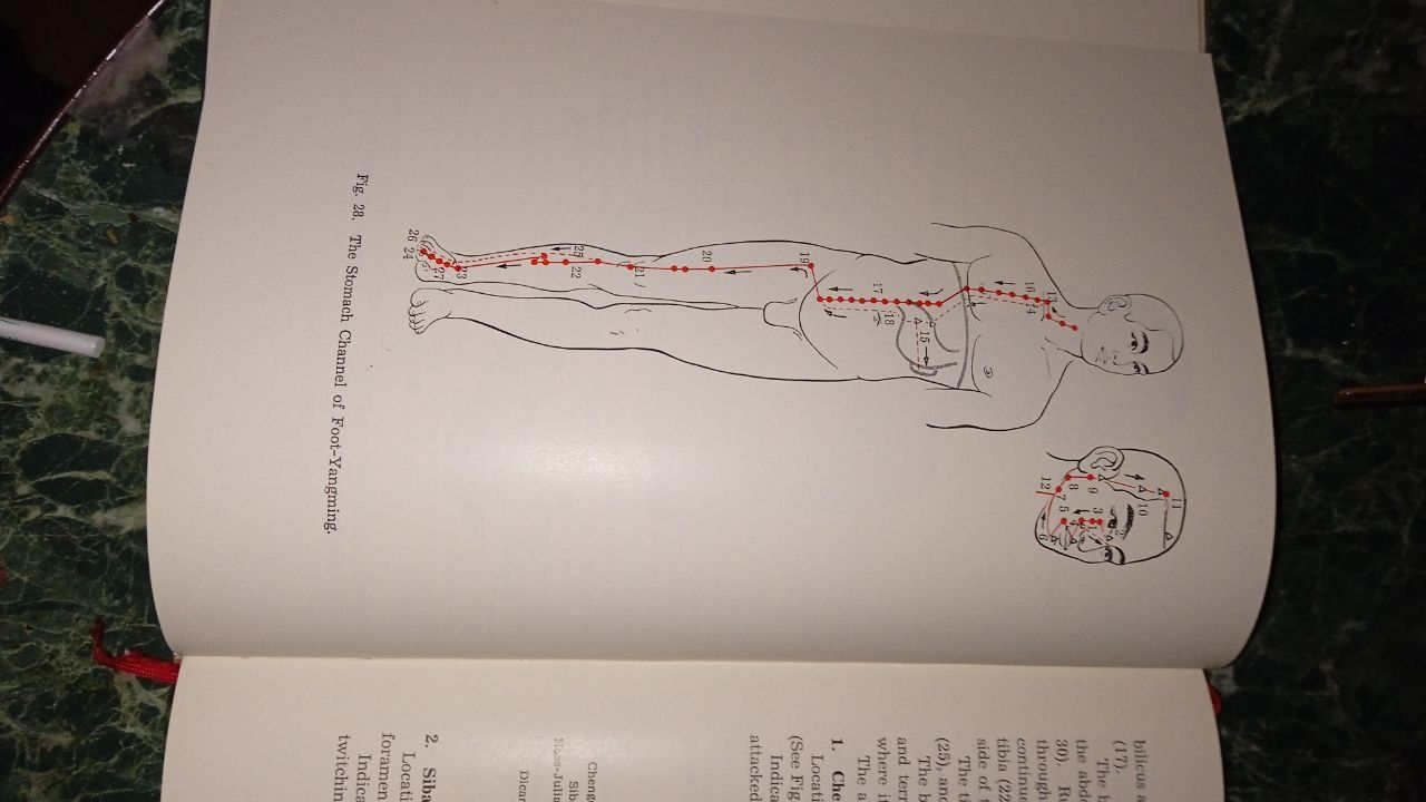 Essentials of Chinese Acupuncture. Foreign languages press