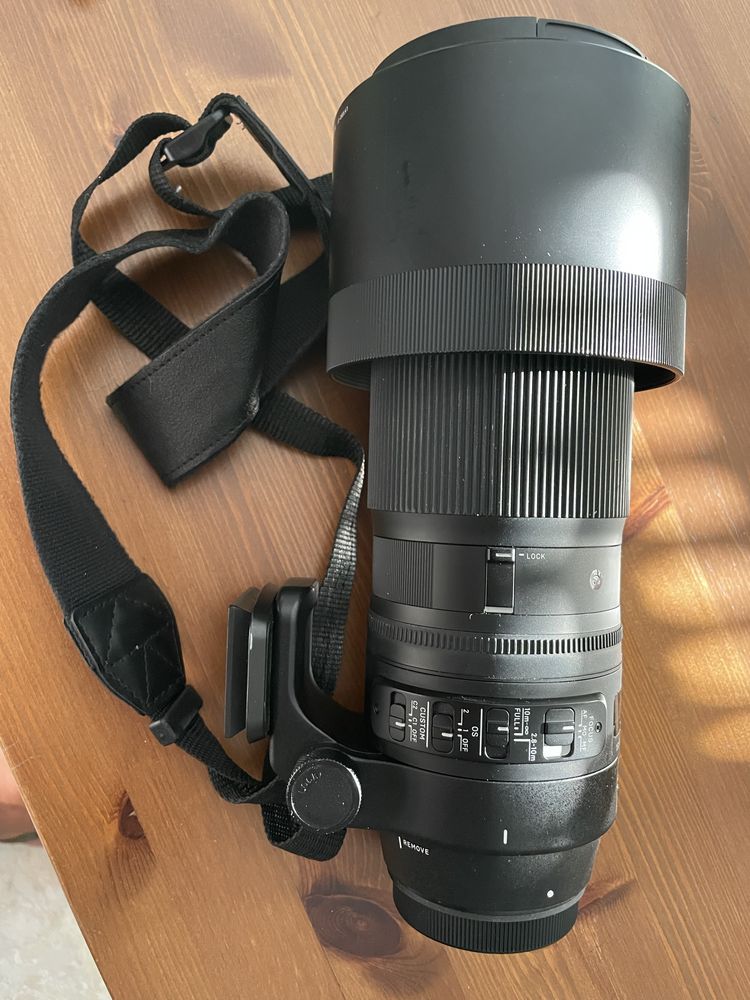 Canon 90D Sigma 150-600
