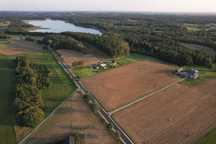 Działka nad jeziorem, warunki, las