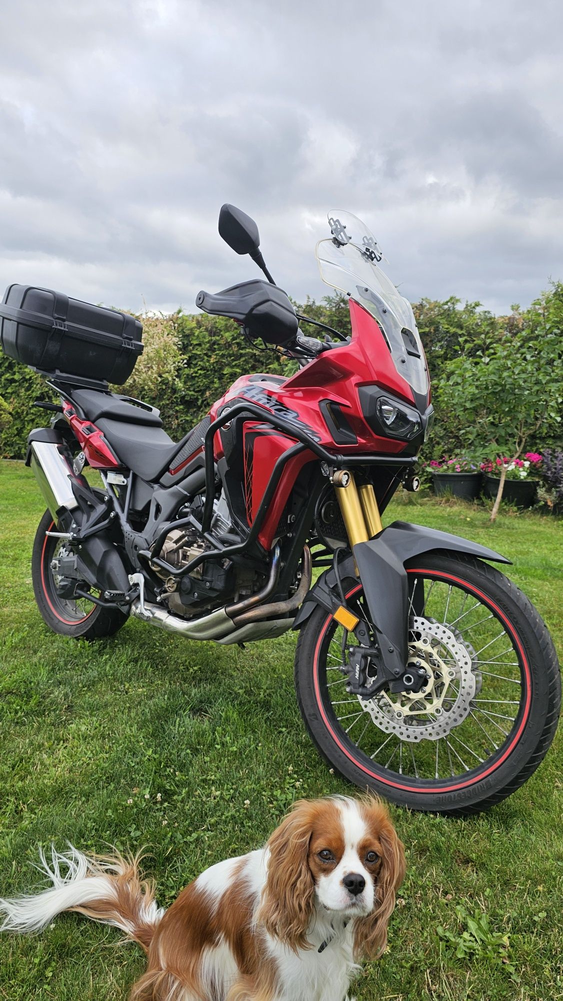 Honda CRF 1000 Africa Twin  DCT  24 tys przebiegu