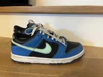 Buty dla chłopca  Nike Dunk Low  38